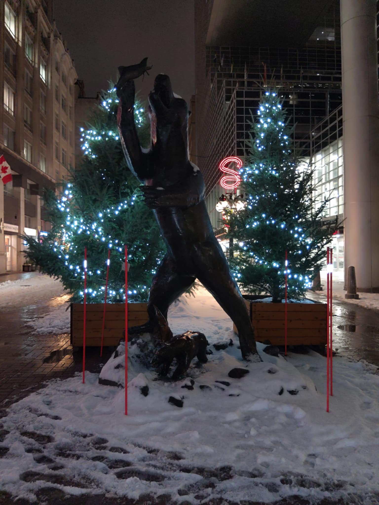 Bear Catching Fish Statue on Sparks St with two pine trees in behind decorated with white Christmas Lights