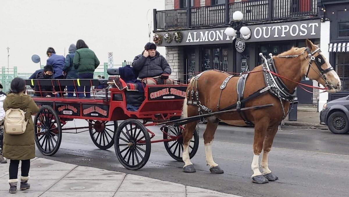 horse-drawn carriage